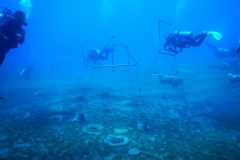 DSCN0683