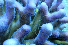 DSCN0566
