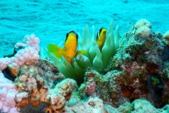 DSCN0577