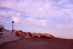 DSCN0593