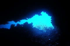 DSCN0610