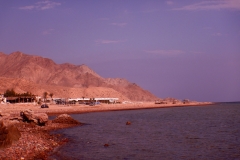 DSCN0642