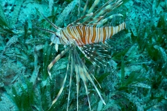DSCN0672