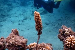 zDSCN0537