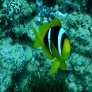 DSCN4391
