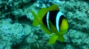 DSCN4391