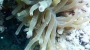 DSCN4401