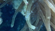 DSCN4432