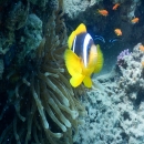 DSCN4433