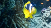 DSCN4433