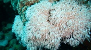 DSCN4493