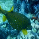 DSCN4501