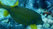 DSCN4501