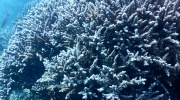 DSCN4536