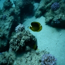 DSCN4538