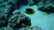 DSCN4538
