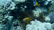 DSCN4541