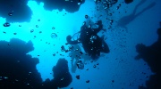 DSCN4554