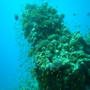 DSCN4574