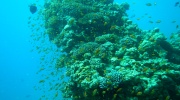 DSCN4574