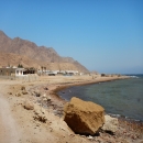 DSCN4594