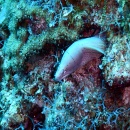 DSCN4656