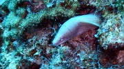 DSCN4656