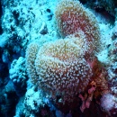 DSCN4659