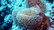 DSCN4659