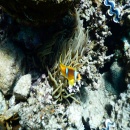 DSCN4671