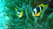 DSCN4695