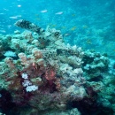 zDSCN4645 (4)