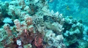 zDSCN4645 (4)