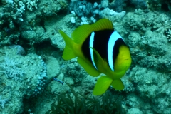 DSCN4391