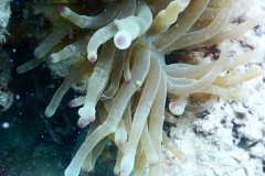 DSCN4401