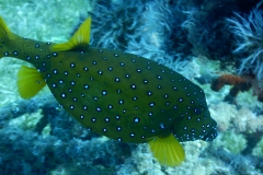 DSCN4501