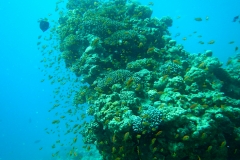 DSCN4574