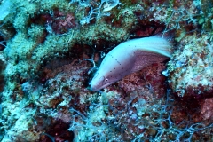 DSCN4656