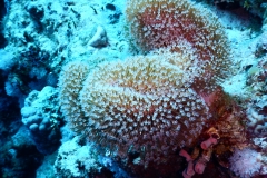 DSCN4659