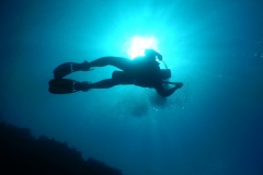 DSCN1082