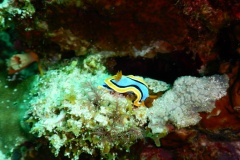 DSCN1252