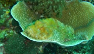 DSCN1518