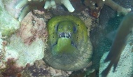 DSCN1895