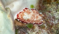 RSCN1573