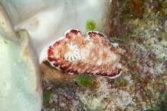 RSCN1573