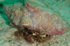 RSCN1870