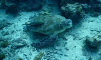 DSCN1670