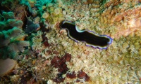 DSCN1865