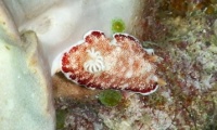 RSCN1573