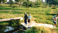 1995-2